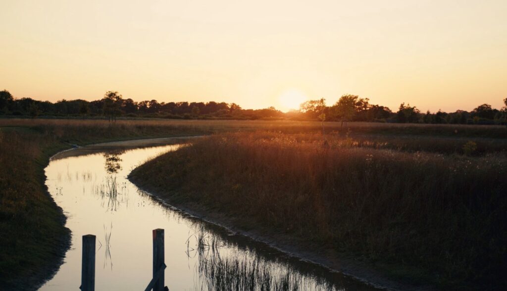 A lake at sunset, demonstrating an example of a BNG habitat where the biodiversity value can be measured by the biodiversity metric