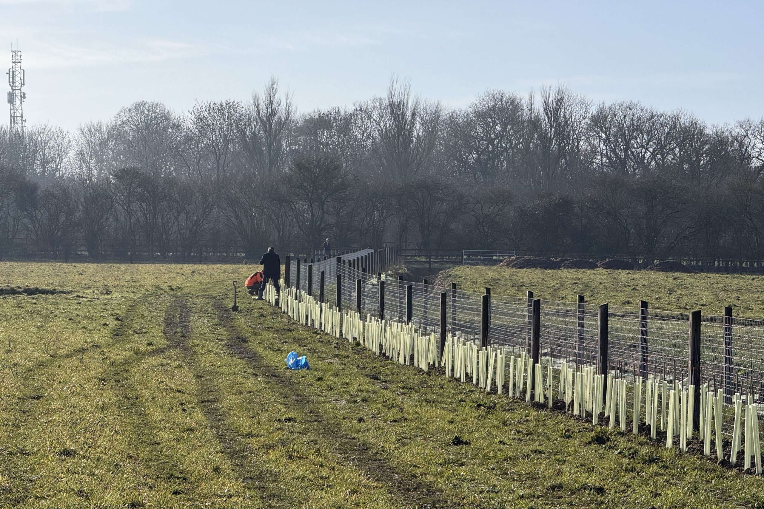 BNG Units Ltd provides off-site Biodiversity Net Gain Units for your Biodiversity Gain Plan.