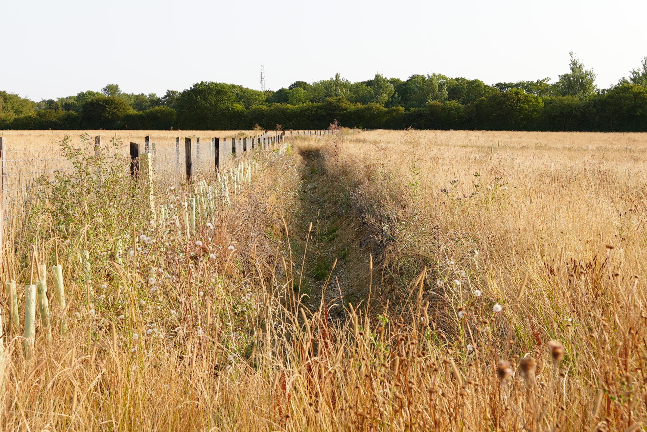 A ditch at Glebe Land - an important habitat type for BNG that is uncommon on the market.